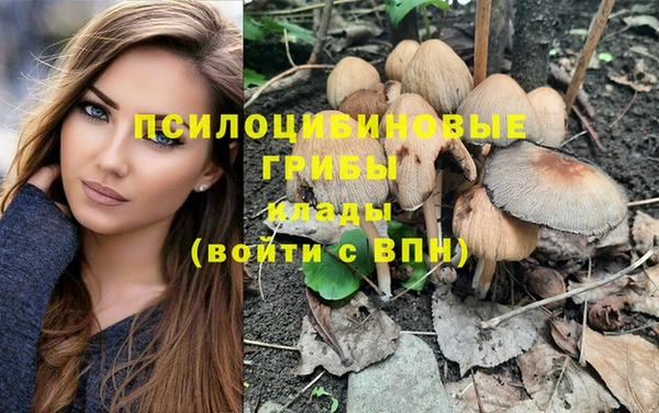 СК Абдулино