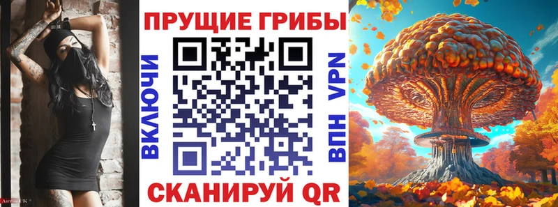 hydra как войти  Александровск  Псилоцибиновые грибы Psilocybe 